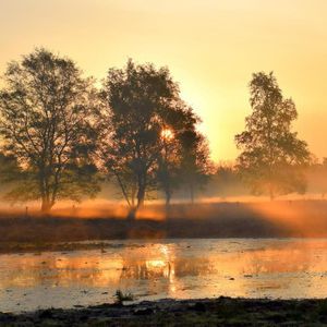 Example 1 resized different aspect ratio