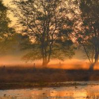 Example 1 with user crop