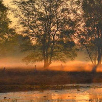 Example 1 with user crop and resize