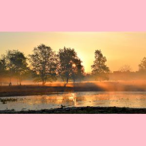 Example 1 resized with fit in and pink fill color