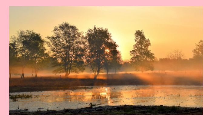 Example 1 resized with fit in and pink fill color