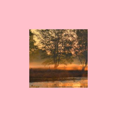 Example 1 with user crop, resize, fit in and fill color