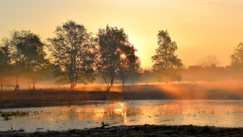 Example 1 resized same aspect ratio