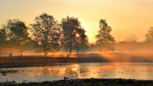 Example 1 resized with fit in